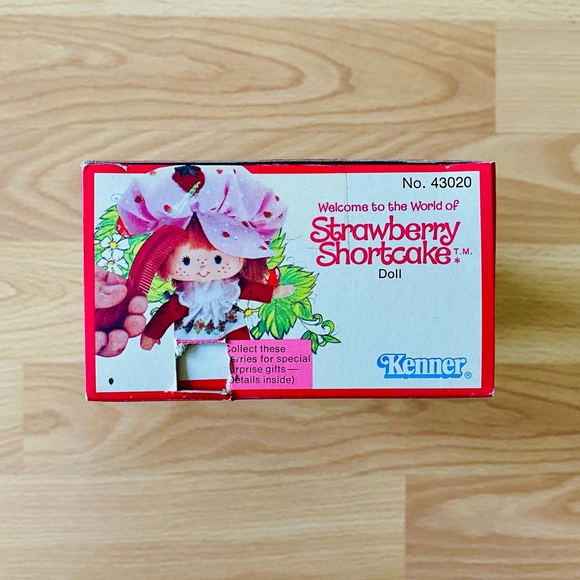 🍓FIRST ISSUE 1980 STRAWBERRY SHORTCAKE ORIGINAL *COMPLETE BOX SET* - Picture 5 of 8